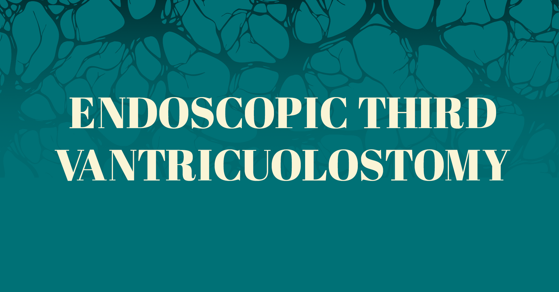 Endoscopic Third Ventriculostomy Workshop